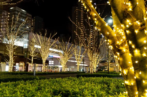 【千葉 柏・野田エリア】電車派も車派も必見！アクセス別おすすめラブホテル8選【ハピホテガイド2026年版】